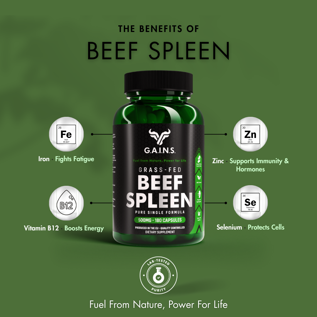 BEEF SPLEEN