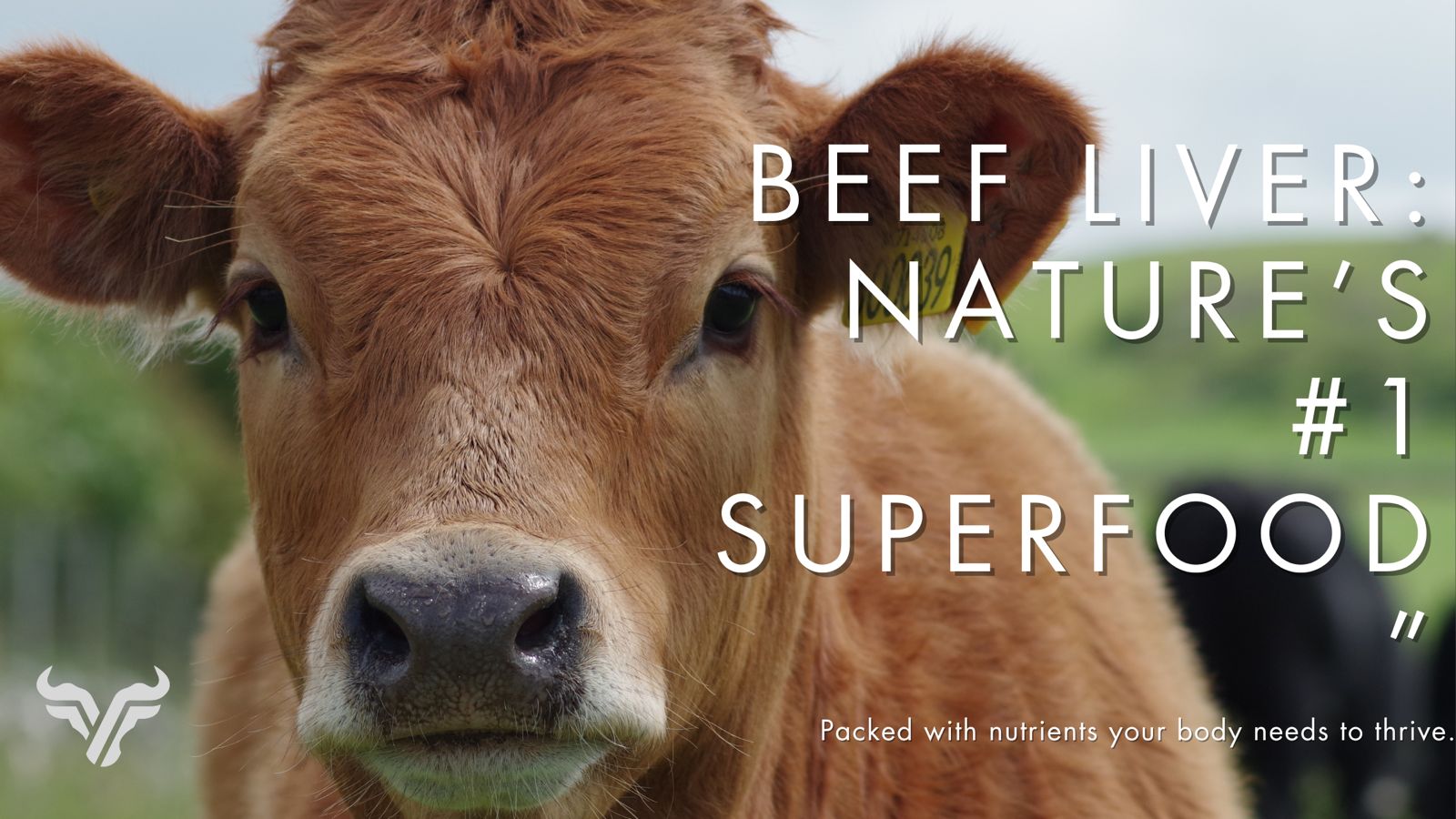 Why Beef Liver Is Nature’s #1 Superfood
