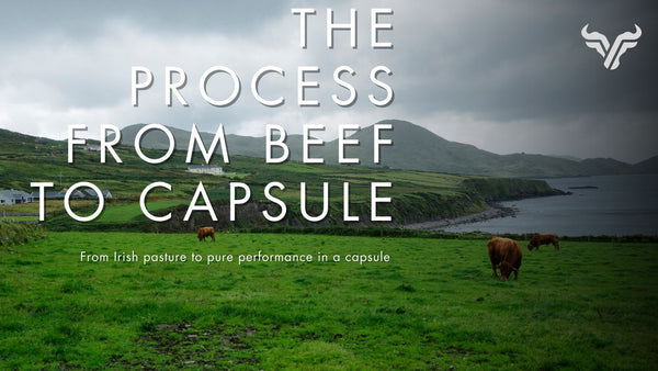 The Process from Beef to Capsule